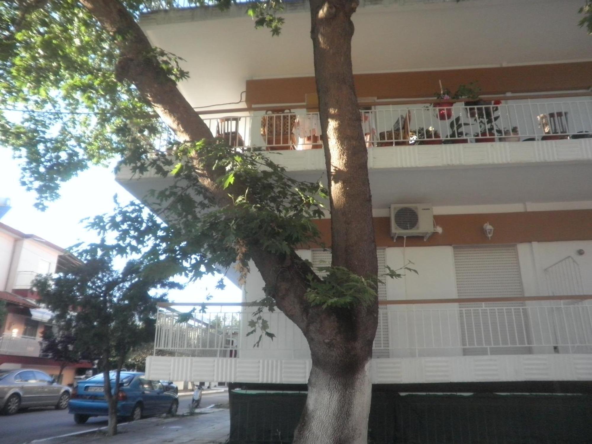 Apartments Anesis Pantazis Asprovalta Exteriör bild